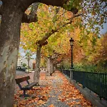 Διαμέρισμα Exclusivo Tapas El Tubo Checkin 24h Centro 1 Σαραγόσα