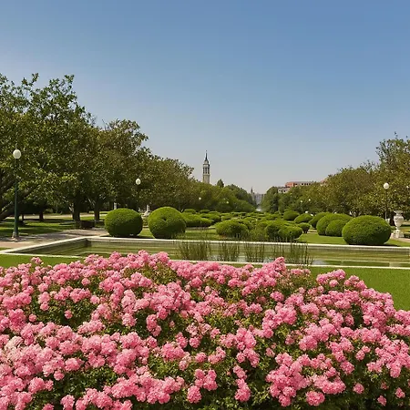 Exclusivo Tapas El Tubo Checkin 24h Centro 1 Zaragoza