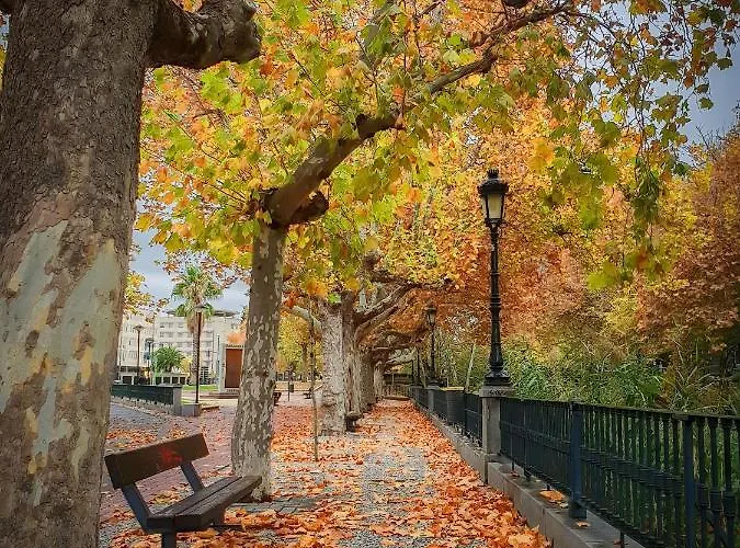 Διαμέρισμα Exclusivo Tapas El Tubo Checkin 24h Centro 1 Σαραγόσα